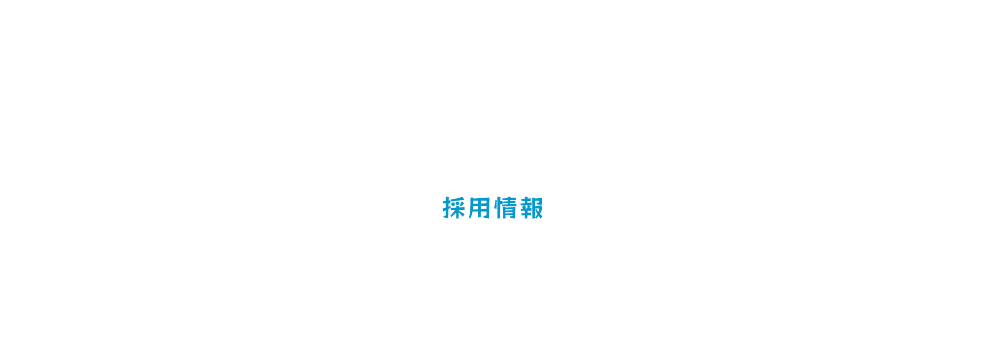 採用情報